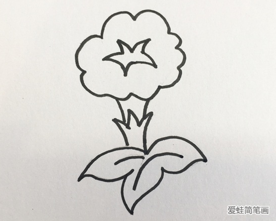 牵牛花简笔画