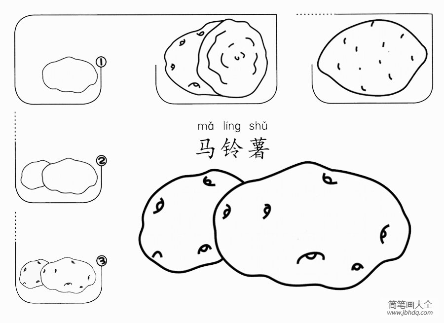 马铃薯怎么画