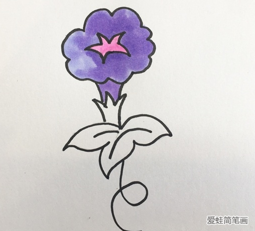 牵牛花简笔画