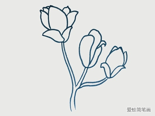 玉兰花简笔画