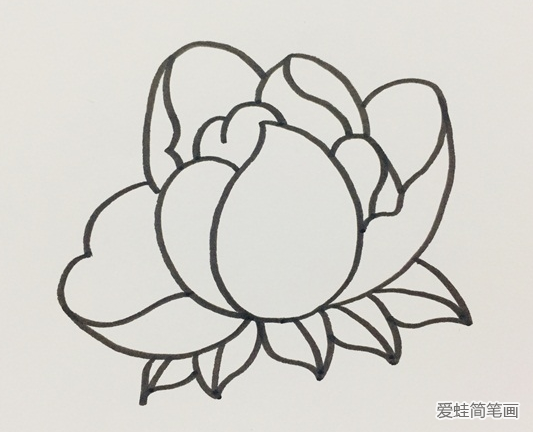 芍药简笔画