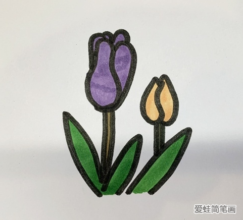 郁金香简笔画