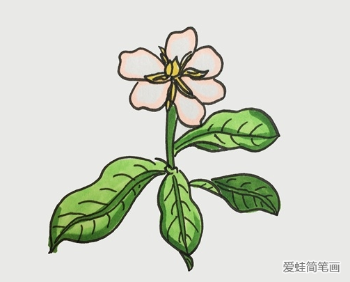 栀子花简笔画