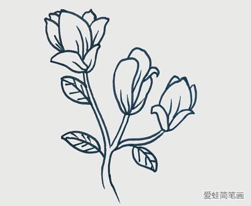 玉兰花简笔画