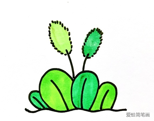 狗尾巴草简笔画