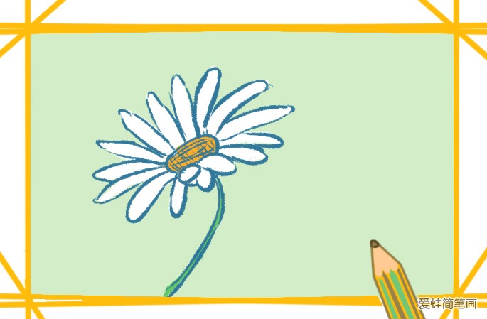菊花简笔画