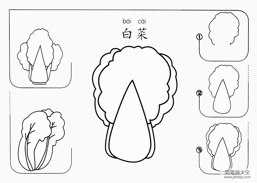 白菜怎么画