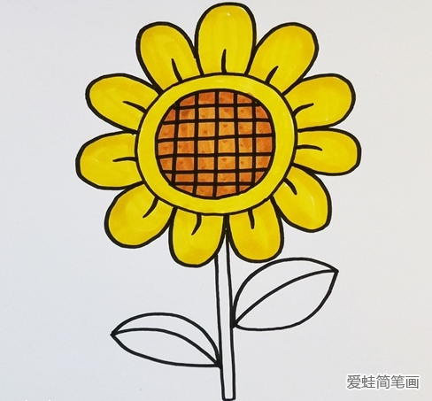 向日葵简笔画彩色