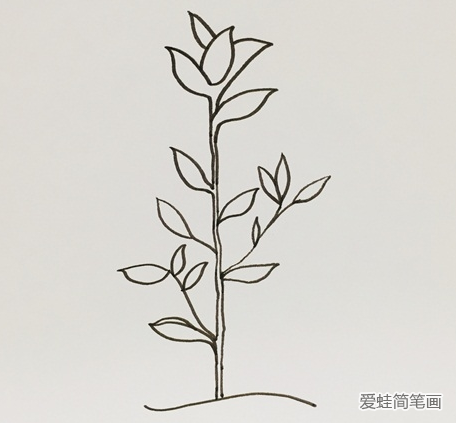 茶树简笔画