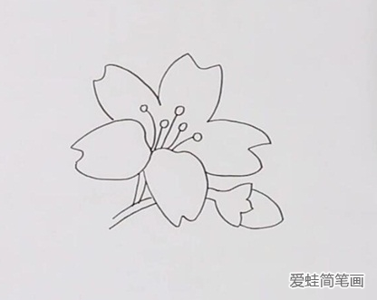 迎春花简笔画