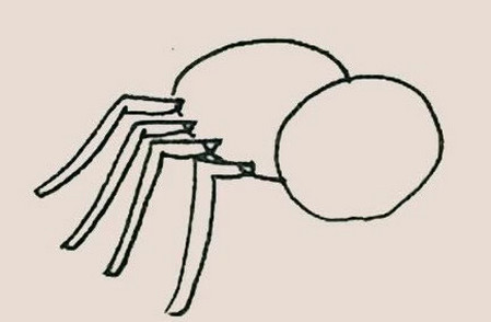 蜘蛛简笔画