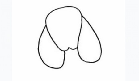贵宾犬简笔画