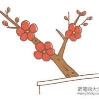 一枝红梅简笔画