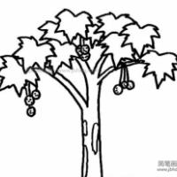果树简笔画图片