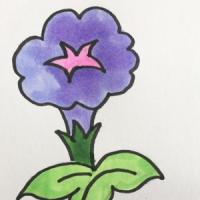 牵牛花简笔画
