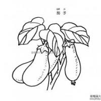 茄子简笔画图片