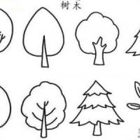 儿童各种大树的简笔画