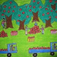 丰收的苹果园,关于秋天的儿童画作品欣赏