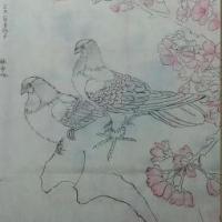 淡彩工笔国画作品之海棠花与鸽子