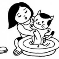 小女孩给猫咪洗澡简笔画 小女孩给猫咪洗澡简笔画步骤图片大全