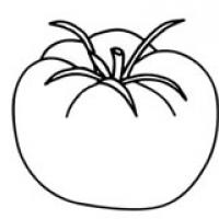 西红柿怎么画简单又好看图片 西红柿简笔画的简单画法