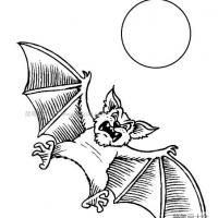 万圣节的蝙蝠简笔画