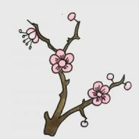 树枝上的梅花简笔画