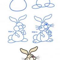 简笔画教程 吃胡萝卜的兔子简笔画步骤图
