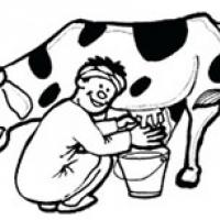 挤牛奶的工人简笔画画法图片
