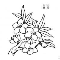 桃花简笔画