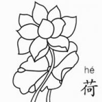 荷花怎么画漂亮又简单 荷花简笔画步骤图解