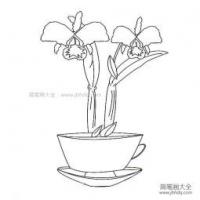 漂亮的盆栽简笔画