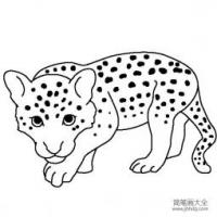 动物简笔画 小花豹简笔画画法