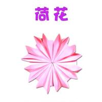 一分钟儿童折纸 学折荷花