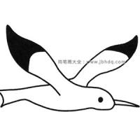 四张漂亮的海鸥简笔画图片