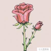 玫瑰花简笔画