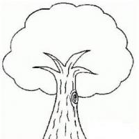 简单好看的大树简笔画图片