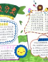 五年级垃圾分类手抄报图片(8张)-图7 五年级垃圾分类手抄报图片