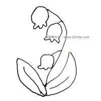谷中的百合:铃兰花