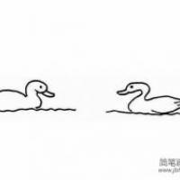 两只鸭子简笔画图片