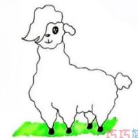 卡通羊驼怎么画简笔画