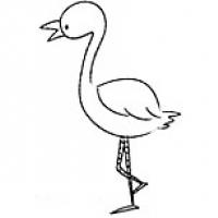 动物简笔画：简笔画小鸟的画法步骤图