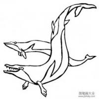 史前动物 龙王鲸简笔画图片