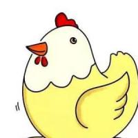 卡通母鸡的画法涂颜色简单漂亮