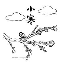 二十四节气小寒：梅花简笔画