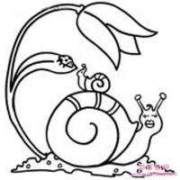 可爱的儿童简笔画:大蜗牛与小蜗牛