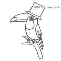 ​啄木鸟简笔画图片