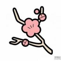 儿童花朵简笔画 腊梅
