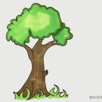 大树怎么画简单又好看
