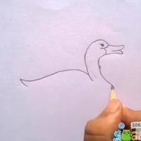 一步一步教你画鸭妈妈 铅笔画鸭子的画法